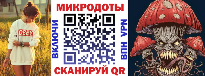 Псилоцибиновые грибы Psilocybine cubensis купить сайты Биробиджан