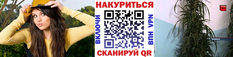 hydra вход Биробиджан Канабис Ganja